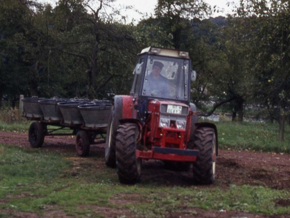 Traktor u. Anh&auml;nger mit den Transportgef&auml;&szlig;en f&uuml;r das Lesegut 
