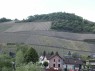 Weinberge in Marienthal 