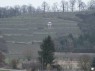 Weinberge in Odernheim am Glan 