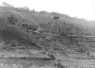 Abstufungen des Weinbergs in Erlenbach a.M.