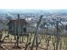Hembsbach 