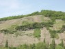 Weinberge in Thörnich 