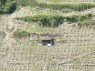 Pfahlerziehung u. Weinbergshäuschen