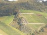 Chor: Abstufungen im Weinberg 