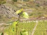Abstufung
