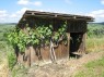 Weinbergshäuschen 