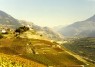 Terrassen im Weinberg