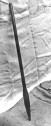 Stieglitz, Länge 112cm