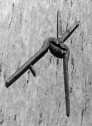 Leseschere, Länge 20cm