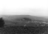Weinberge