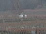 Weinbergshäuschen bei Rhodt unter Rietburg