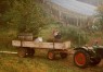Traktor mit Anhänger