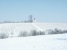 Weinberge in Perl 