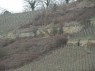 Treppe im aufgelassenen Weinberg 