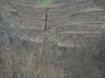 Stützmauer im Weinberg
