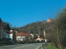 bewaldete ehemalige Weinbergsterrassen auf dem Limburgberg