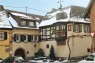 Rebe an einem Wohnhaus in St. Martin