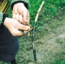 Schlaufe, die beim Binden mit Weide entsteht