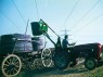 Traubentransport mit dem Weinbergsschlepper 