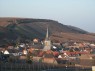 Weinberge am Hang 