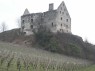 Weinberg in Vogtsburg im Kaiserstuhl-Burkheim
