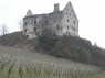 Weinberg in Vogtsburg im Kaiserstuhl-Burkheim 