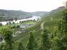 Weinbergsgelände an der Mosel 