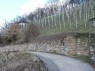 Weinbergsmauer