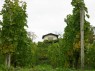 Weinbergshäuschen aus Stein 