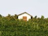 Weinbergshäuschen 