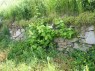 Weinbergsmauer