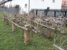 Geschlossener Kammertbau