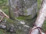 Kerbe, in die der Balken der Kammertanlage eingelegt wird