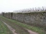Stützmauer in Deidesheim 