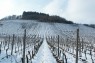 Weinberge in Schwebsange/Schwebsingen 