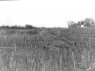 Pfahlanlage: Weinberge in Michelbach