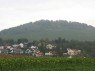 Weinberge in Winzerhausen 