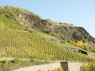 Chörchen: Abstufungen im Weinberg 