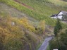 Weinberge in Engehöll
