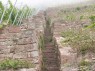 Treppe in den historischen Weinbergsterrassen des Homburger Kalmuth  